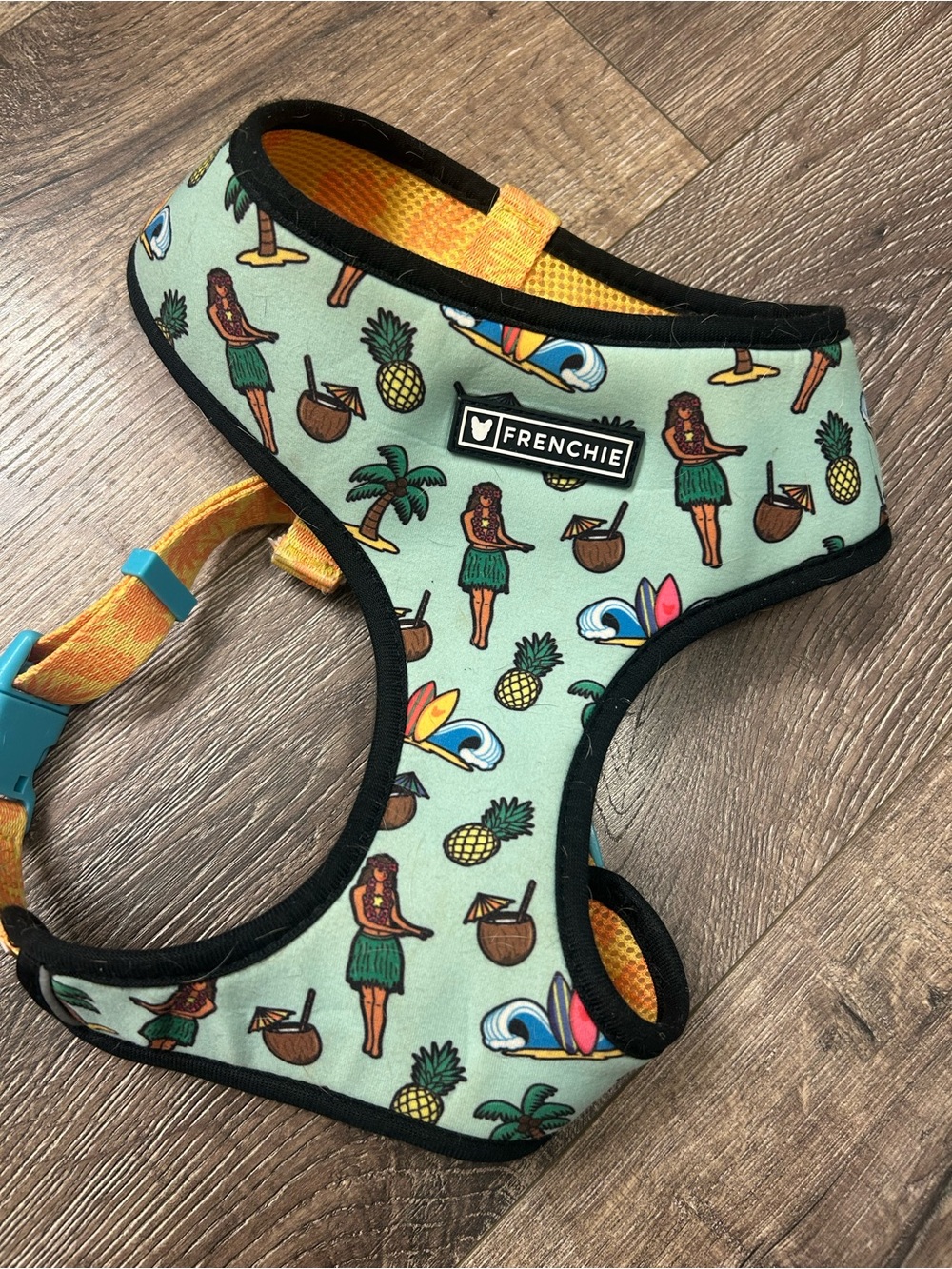 Frenchie Mint Tropical Hula Dog Harness